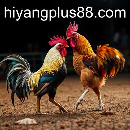 HIYANG PLUS